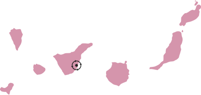 creadores de contenido para las islas canarias